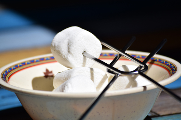 Marshmallows for toasting