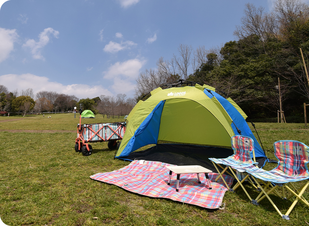 芝生の上に設置されたロゴスのテントやキャリー、シートの様子